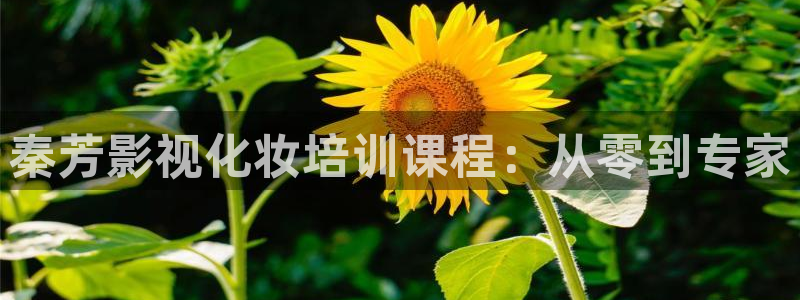 泡泡观影：秦芳影视化妆培训课程：从零到专家