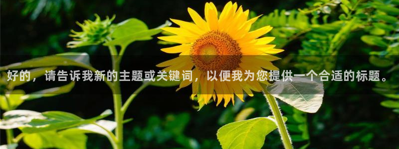泡泡酒店：好的，请告诉我新的主题或关键词，以便我为您提供一个合适的标题。