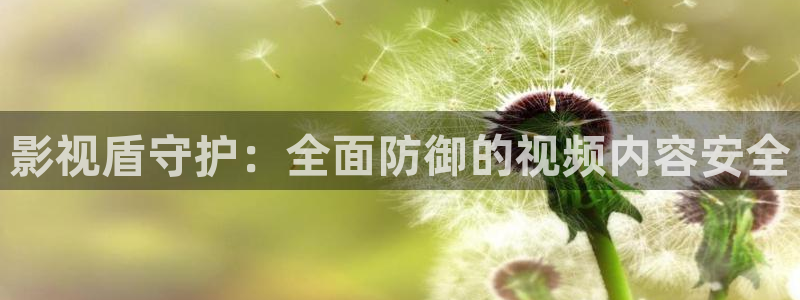 猪泡泡影视大全：影视盾守护：全面防御的视频内容安全