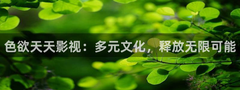 泡泡影视片哈网：色欲天天影视：多元文化，释放无限可能