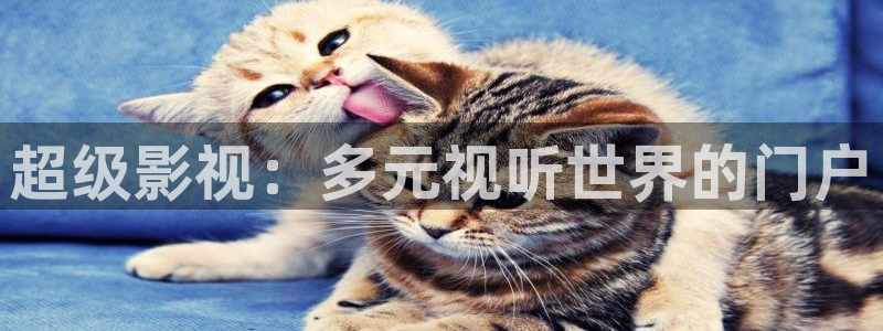 泡泡影视怎么在线观看：超级影视：多元视听世界的门户