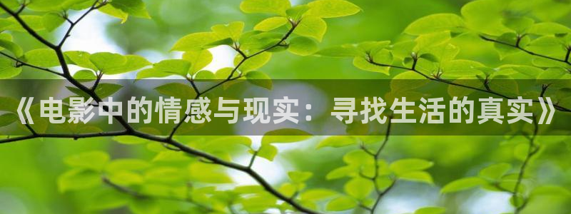 泡泡电影免费大全：《电影中的情感与现实：寻找生活的真实》