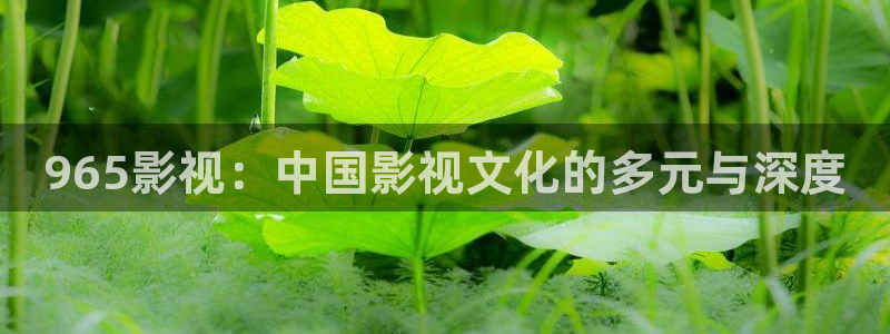 泡泡电影在线：965影视：中国影视文化的多元与深度