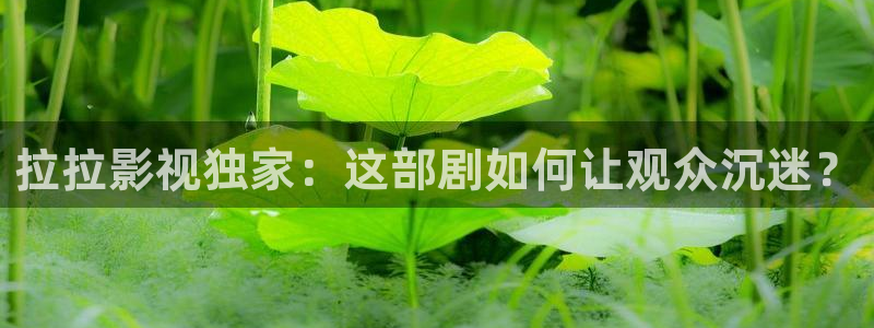 泡泡在线电影：拉拉影视独家：这部剧如何让观众沉迷？