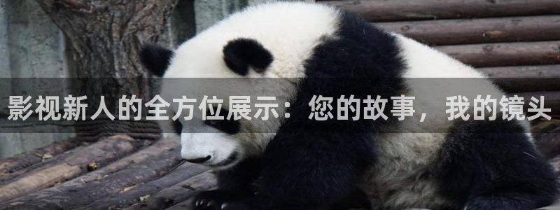 泡泡影视电影：影视新人的全方位展示：您的故事，我的镜头