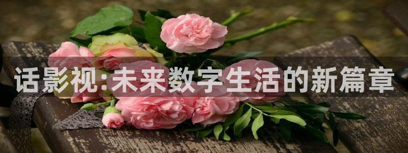 泡泡影视欧美版：话影视:未来数字生活的新篇章
