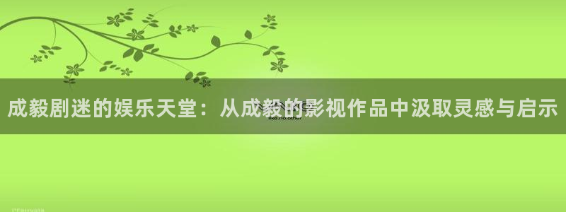 泡泡的电影：成毅剧迷的娱乐天堂：从成毅的影视作品中汲取灵感与启示